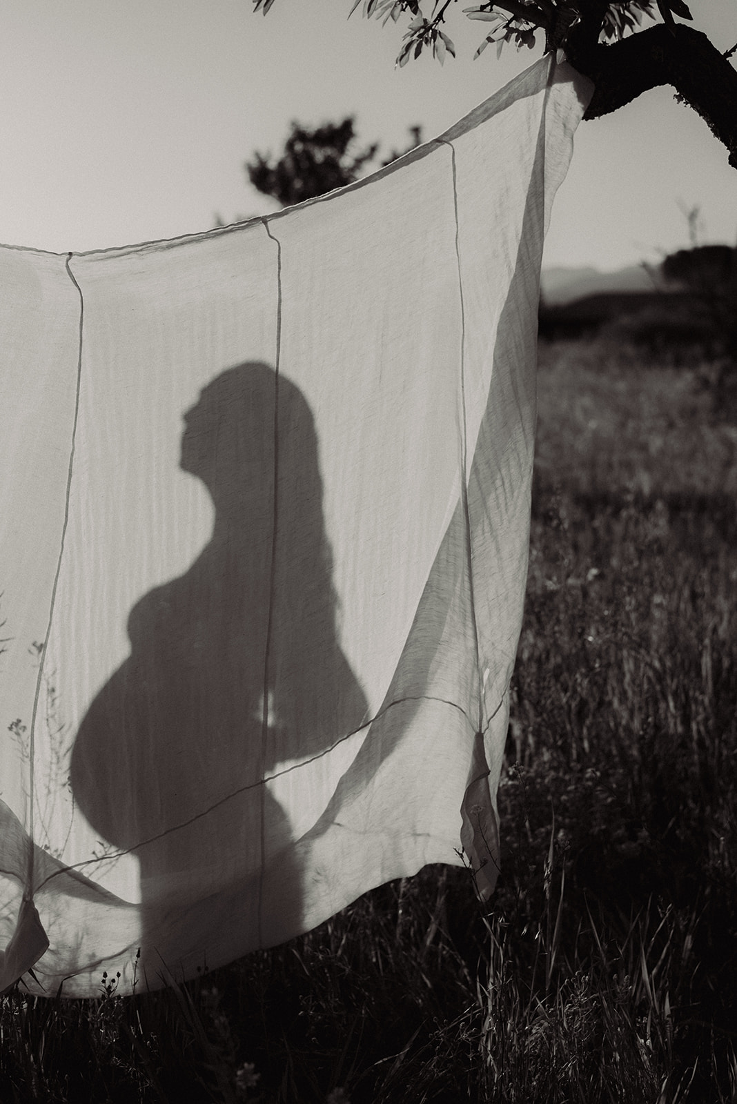 mallorca natural emotional maternity photographer